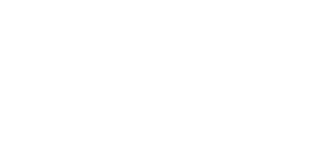 IntexSys